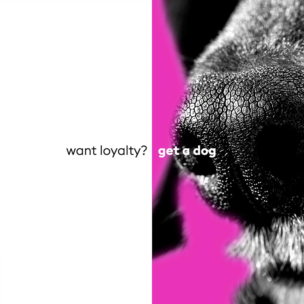 want loyalty? get a dog.